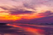 North Beach Purple Sunrise