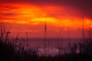 North Beach Sea Oats at Sunrise