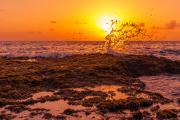 Rokers Point Sunrise Splash