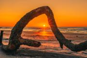 Sunrise through the driftwood