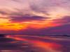 North Beach Purple Sunrise