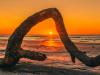 Sunrise through the driftwood