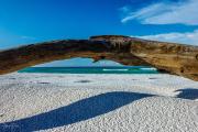 Driftwood On the Beach, Topsail hill Preserve