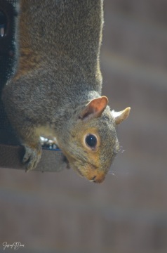DSC_6131.jpg