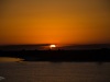 DSC_7767.jpg