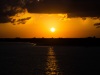 DSC_7971.jpg