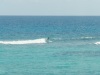 DSC_8383.jpg