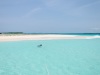 DSC_8448.jpg