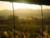 JJD_3597.jpg