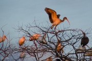 201601-Ibis-Hotel-5623