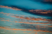 JJD_5661-2.jpg
