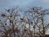 201601-Ibis-Hotel-5533