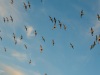201601-Ibis-Hotel-5586