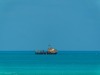 201904 Turks and Caicos-06508.jpg