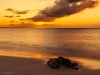 201904 Turks and Caicos-06587.jpg