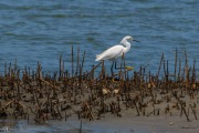 201905 Seabrook Island-01144.jpg