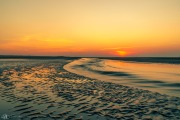 201905 Seabrook Island-01211.jpg