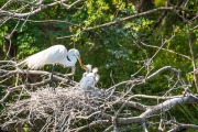 201905 Seabrook Island-01942.jpg