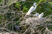 201905 Seabrook Island-01952.jpg