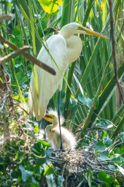 201905 Seabrook Island-01972.jpg