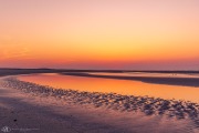 201905 Seabrook Island-02028.jpg