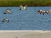 201905 Seabrook Island-00904.jpg
