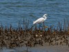 201905 Seabrook Island-01144.jpg