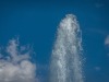 DSC00169.jpg