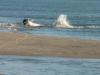 DSC00590.jpg