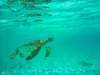 201906 Exuma -1090939.jpg