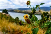 Horsetooth Resevoir