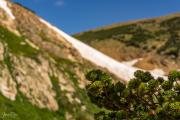 Saint Mary's Glacier