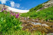 Snowmelt From Saint Mary's Glacier