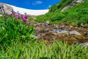 Snowmelt From Saint Mary's Glacier