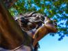 Downtown Fort Collins Statues