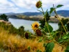 Horsetooth Resevoir