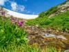 Snowmelt From Saint Mary's Glacier