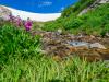 Snowmelt From Saint Mary's Glacier