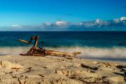 Grace Bay Driftwood