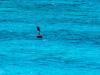 201912-Turks-and-Caicos-20