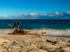 Grace Bay Driftwood