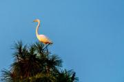 202010_Destin-08006.jpg