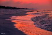 202010_Destin-09755.jpg