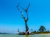202005_Destin-07255-HDR.jpg