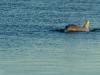 202001_Seabrook-00688-Edit.jpg