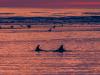 202001_Seabrook-00847-Edit.jpg