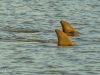 202007.Seabrook-04448