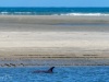 202007.Seabrook-05354