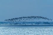 202011_Seabrook-00207.jpg