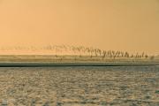 202011_Seabrook-00406.jpg